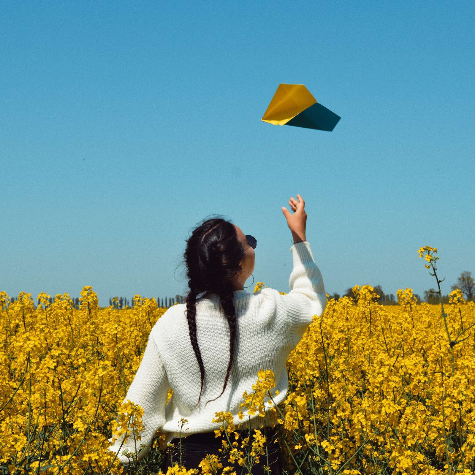 Additional Project Image